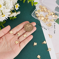 40 шт. Латунные подвески&nbsp;KK-BBC0008-55