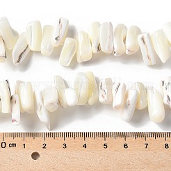 Gefärbte natürliche Trochus-Muschelperlenstränge&nbsp;SSHEL-C013-09J