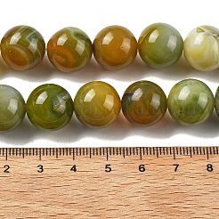 Природные многоцветные агат бисер пряди&nbsp;G-A261-B14-14mm