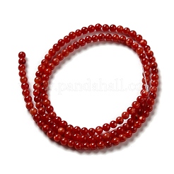 Нити бусин из натуральных пресноводных ракушек&nbsp;SHEL-H003-03G