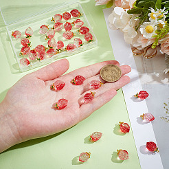 36шт прозрачные стеклянные подвески&nbsp;GLAA-ME0001-20