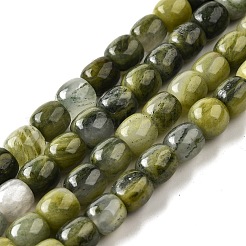 Натуральный синьи нефрита / китайский южный нефрит бисер пряди G-U023-B01-02