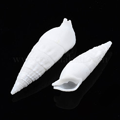 Бусины из натуральных трохоидных/трохус ракушек SSHEL-N034-116