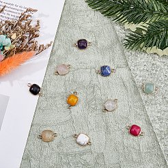 10 шт. 10 стиля смешанных подвесок-соединителей из драгоценных камней&nbsp;G-FH0002-16