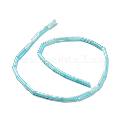 Trochid naturale perline shell fili&nbsp;SSHEL-G023-08