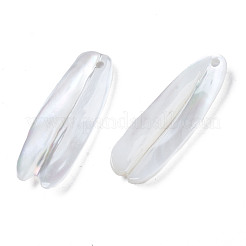 Природные подвески оболочки пресноводных&nbsp;SHEL-S278-046