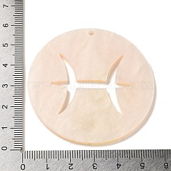 Акриловые подвески SACR-S680-06C