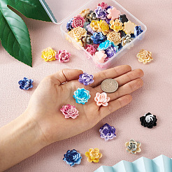 52 шт. 13-х цветные двухцветные кабошоны из непрозрачной смолы CRES-CD0001-08