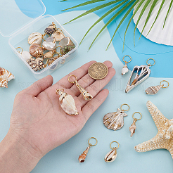 20 шт. 20 стиля гальванизированных натуральных ракушек для плетения волос&nbsp;OHAR-GA00001