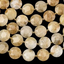 Природный Топаз нефрита бисер нитей&nbsp;G-A292-A01-01