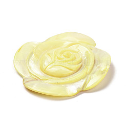 Подвески из окрашенных натуральных ракушек BSHE-G040-01B