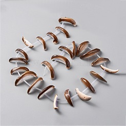天然淡水シェルビーズ連売り  歯状  貝殻色  21~34x6.5~12x3~6mm  穴：1~1.2mm  約24個/連  16.14インチ（41cm）&nbsp;SHEL-C001-01
