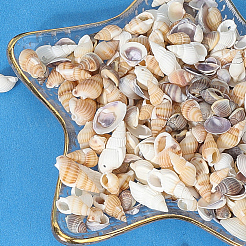 150 г 5 вида натуральных смешанных ракушечных бусин&nbsp;SSHEL-SC0001-51