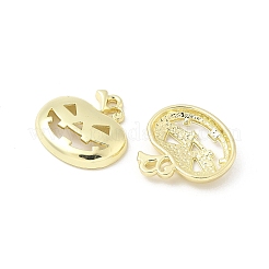 Подвески из сплава  FIND-B047-02B-G