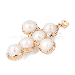 Pendentifs de perles d'eau douce naturelles&nbsp;PA-CBA260E-02G