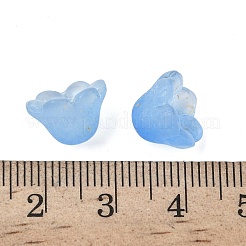 Capuchon de perle en verre dépoli&nbsp;FGLA-C001-01K