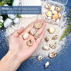 24 шт. 6 подвески в виде ракушек с гальваническим покрытием&nbsp;SSHEL-SC0001-18