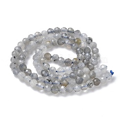 Природные лабрадорита бисер нитей&nbsp;G-L651-C11-4mm