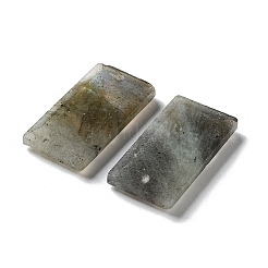 Природные подвески лабрадорита&nbsp;G-G063-01I