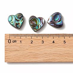 Perles coquille d'ormeau / coquille de paua&nbsp;LS-SHEL-T005-01
