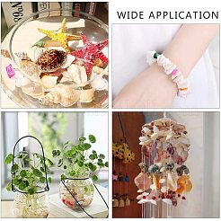 Бусины из ракушек BSHE-PH0003-16