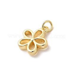 Латунные подвески&nbsp;KK-Z135-13A-G