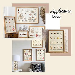 140 шт. 2 вида натуральных ракушечных бусин SSHEL-FH0001-08