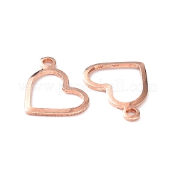 Breloques en acier inoxydable 304&nbsp;LS-STAS-P227-23RG