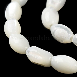 Fili di perline di conchiglia trochus naturale&nbsp;BSHE-E030-02A