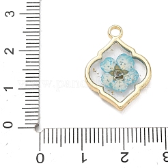 Epoxidharz-Legierungsanhänger&nbsp;AL-Z001-08G-02