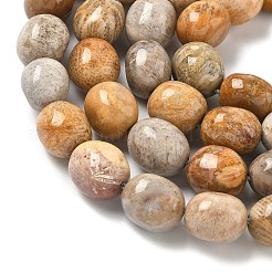 Природные окаменелые коралловые бусы пряди&nbsp;G-C038-02T