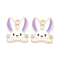 Подвески из эмали и сплава&nbsp;PALLOY-D015-08C