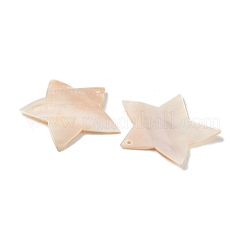 Природные подвески оболочки пресноводных SHEL-K006-58