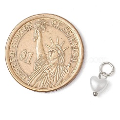 Перламутровые перламутровые прелести PALLOY-JF03222-01