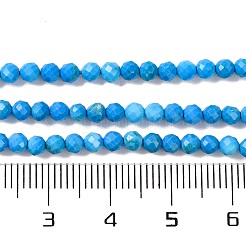 Природные Говлит бисер нитей&nbsp;G-C025-02B-10