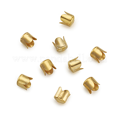 Железный шарик крышки&nbsp;IFIN-TA0001-07G