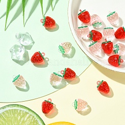 10шт прозрачные акриловые подвески&nbsp;OACR-YW0002-31A