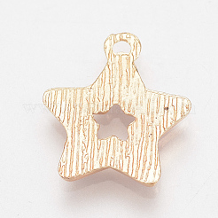 Подвески из эмали и сплава&nbsp;X-ENAM-Q425-24