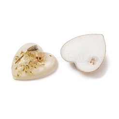 Transparente Harzcabochons&nbsp;RESI-K033-12A
