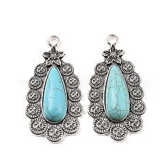 Pendentifs en alliage&nbsp;FIND-C026-07AS