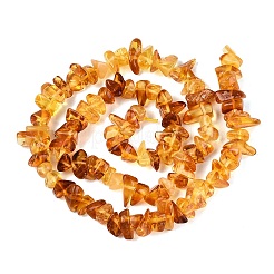 Perles d'ambre naturel brins&nbsp;G-N371-21A-01