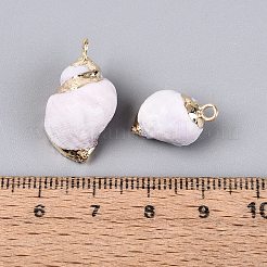 Galvanisierte Anhänger aus natürlichen Muscheln&nbsp;BSHE-Q020-02