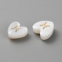 5шт натуральные белые бусины из ракушек BSHE-TAC0004-02D