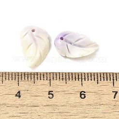 Подвески из синтетических окрашенных ракушек с резными перьями&nbsp;BSHE-H111-02