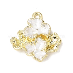 Pendentifs d'émail en alliage&nbsp;FIND-E062-03