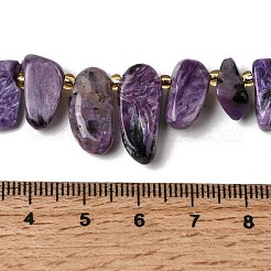 Естественно чароитовыми бисер пряди&nbsp;G-P604-A29-01