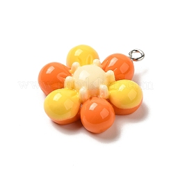 Подвески из смолы&nbsp;RESI-A038-03P-02