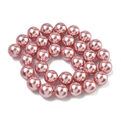 Perles de perles de coquille galvanoplastie&nbsp;BSHE-G041-12mm-05