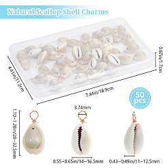 50 шт. подвески из натуральной ракушки каури&nbsp;FIND-BBC0003-13