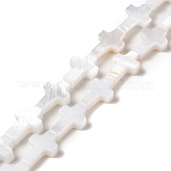 Нити бусин из натуральных пресноводных ракушек&nbsp;X-BSHE-E026-18